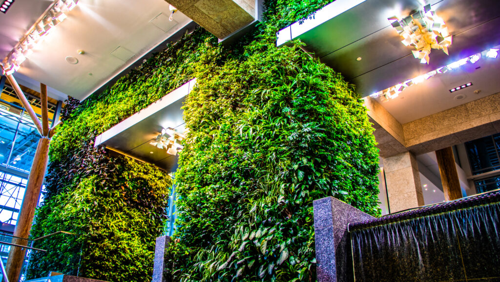 Wall with green plants growing on it